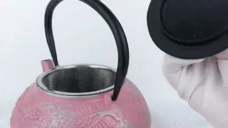 Classic Chinese Kettle Cast Iron Teapot Chinese Tea Set with Warmer 