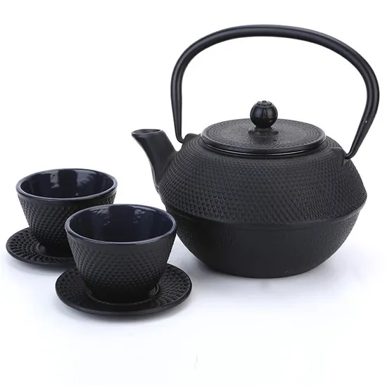 Cast Iron Teapot Japanese Tetsubin Kettle Set with 2 Cups and Tea Infuser 